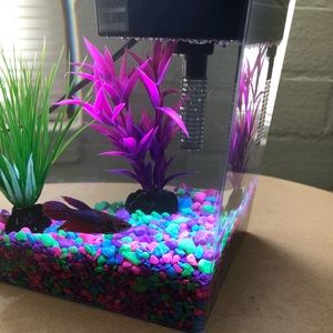 Meet your Posher, Natasha